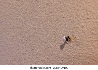 Macro Of A Single Nail Protruding From Painted Drywall In A Residential House