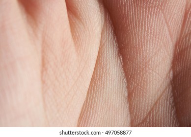 macro of skin texture on hand palm with lines