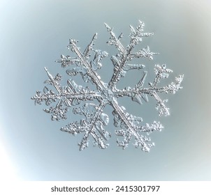 A Macro of a Snow Flake