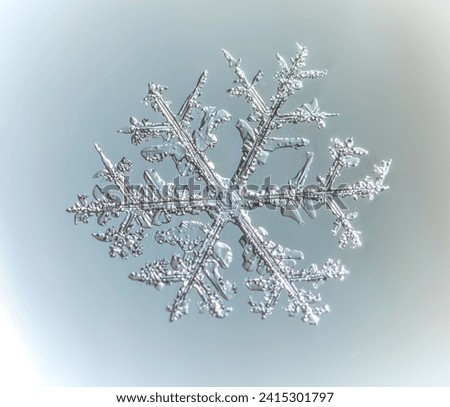 A Macro of a Snow Flake