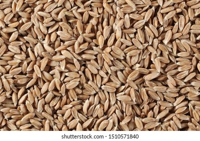 Macro Spelt Grain Background And Texture