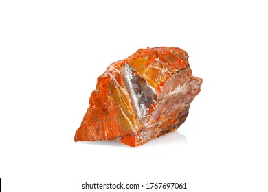 macro stone mineral petrified wood on a white background close-up