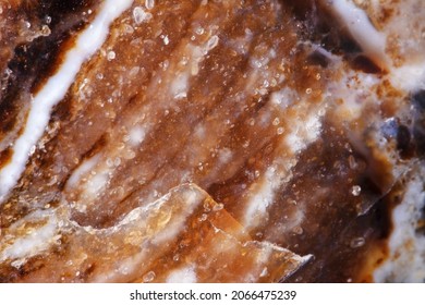 Macro Of The Surface Of Petrified Wood; Good Abstract Background Or Screensaver