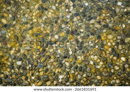 macro texture of colurful cobblestone pavement