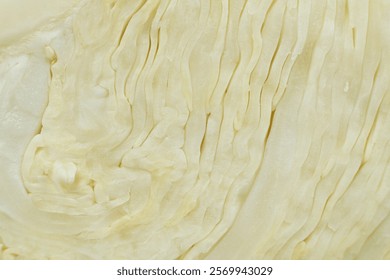 Macro Texture Cut White Cabbage, Abstract Vegetable Natural Background