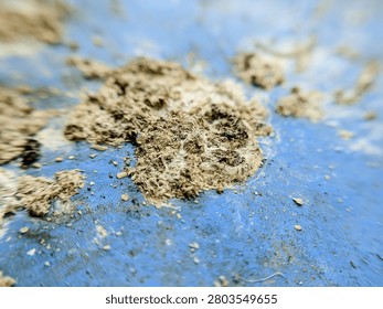 Macro texture of dried bird droppings on a blue base