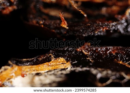 Macro texture of expired Ajwa Dates texture