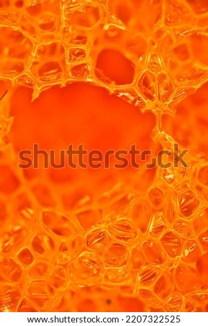 Macro texture fiber magnification microscope bright blood