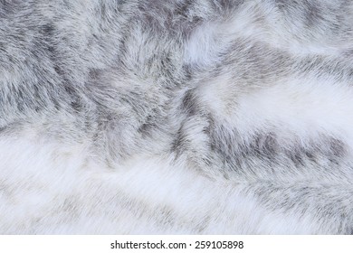 Macro Texture Gray Rabbit Fur Studio