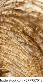 Macro texture of mottled brown and ginger chicken feathers. Natural background of striped bird plumage pattern for organic design.