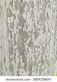 Macro texture of peeling white paint on wood. Old wooden wall background with flaky paint.