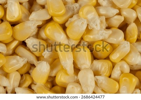 Macro Texture Of Raw Corn Kernels Top View