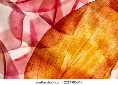 macro texture of roses petals and leaf - Shutterstock ID 2214985647