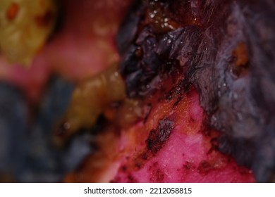 Macro Texture Of Smash Blueberry Fruit