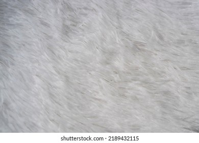 Macro Texture Of White Furry Carpet