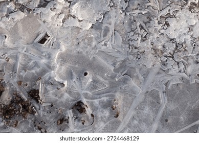 Macro of a thin layer of ice with an openwork pattern
