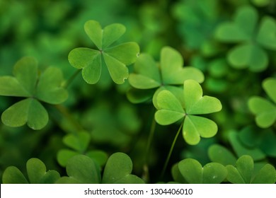 Lucky Four Leaf Clover//Good Luck Party Table Top Confetti//Decor-Shades of Green