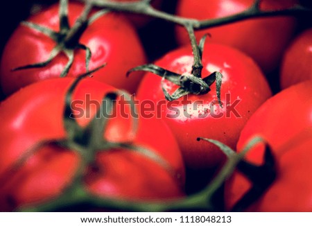 Similar – Image, Stock Photo #A# Red on style Nature