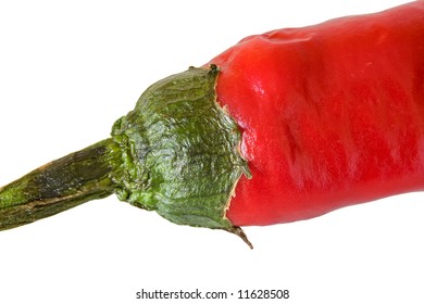 Macro Of Top Part Of Red Hot Chilli