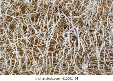 Macro Of A Very Organic Texture Of Loofah Fibers Almost Alien Organism Look Natural Color