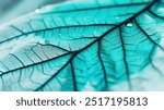 Macro of a vibrant turquoise leaf with water droplets along its veins. The blurred grey background contrasts with the fresh texture, evoking the vitality and freshness of nature.