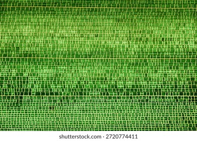 Macro view of bamboo leaf structure featuring reticulate venation with a distinct polygonal vein network and detailed green vascular pattern. 