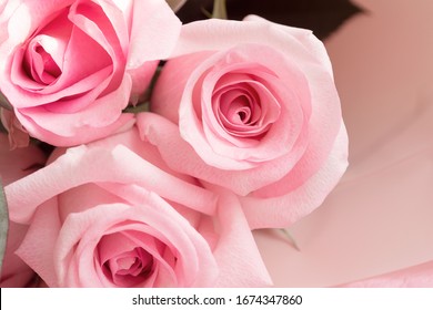 Macro View Of Dusty Pink Rose Flower In Aesthetic Bouquet  