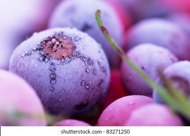 Macro View Of Frozen Berries: Blackcurrant, Redcurrant, Blueberry