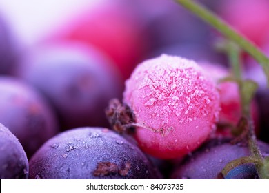 Macro view of frozen berries: blackcurrant, redcurrant, blueberry - Powered by Shutterstock