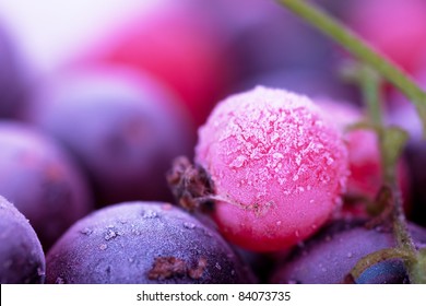 Macro View Of Frozen Berries: Blackcurrant, Redcurrant, Blueberry