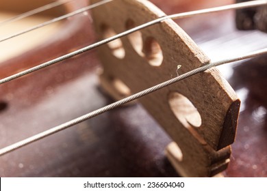 Macro View On Violin Strings And Violin Body. 