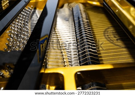 Macro view of piano strings and tuning pins inside a grand piano