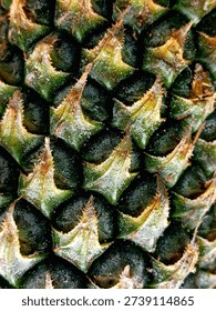 The macro view reveals the diagonal pattern of scales on the green skin of the pineapple (Ananas comosus) 