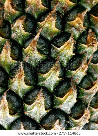 The macro view reveals the diagonal pattern of scales on the green skin of the pineapple (Ananas comosus) 