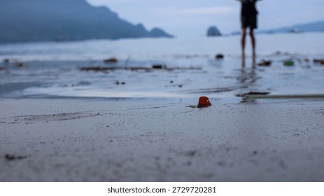Macro view of a sandy beach with a small leaf on wet sand, a person standing barefoot in shallow water, and blurred mountains in the background under a cloudy sky.