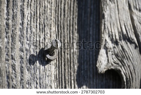 Macro view of a single screw with a rusted washer against the rough grain of aged wood, highlighting texture and decay