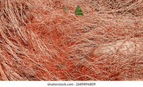 Macro view of tangled copper wire shavings forming a dense mesh.