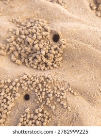 Macro view of tiny sand balls formed by sand bubbler crabs around their burrows on a sandy beach.