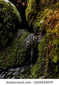 Macro view of a tiny waterfall flowing between moss-covered rocks in a dense forest, evoking serenity and freshness.