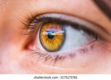 Macro View Of A Woman's Eye Looking To The Horizon On Sunset.