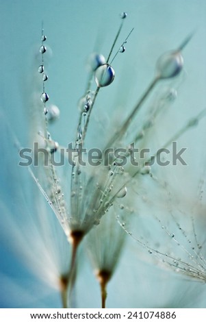 Similar – Image, Stock Photo waiting for spring Flower