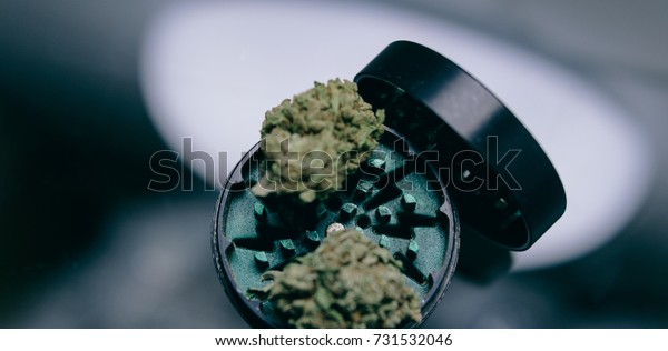 Macro Weed Buds Close Marijuana Flower Stock Photo Edit Now