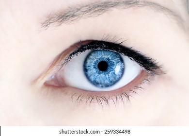 Macro of a woman's beautiful blue eyes. Extreme shallow depth of field with selective focus on center of eye.