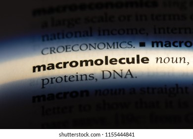 Macromolecule Word In A Dictionary. Macromolecule Concept.