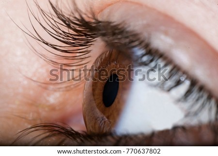 Similar – My look Eyelash Pupil