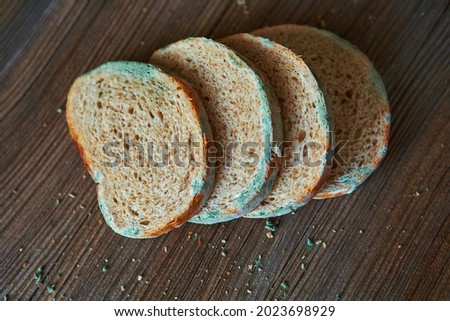 Macrophotography of green mold on stale bread. The surface of moldy bread. Spoiled bread with mold. Moldy fungus on rotten bread. Top view.