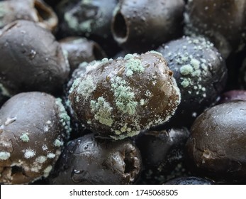 Macrophotography Of Spoiled Olives With White Green Mold. Mold Fungus On Stale Olives. Food Forgotten In The Fridge. Improper Or Too Long Food Storage. Close-up.