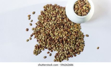 Macrotyloma Uniflorum Kollu Kaanam Horse Gram Stock Photo 596262686 ...