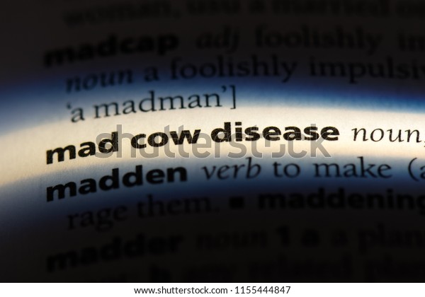 mad cow disease word in a dictionary. mad cow
disease concept.