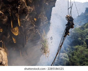 The Mad Honey Hunter in Nepal.  - Shutterstock ID 2285186121